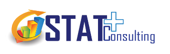 Stat+ Consulting